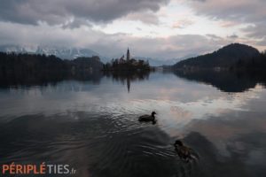 lac bled