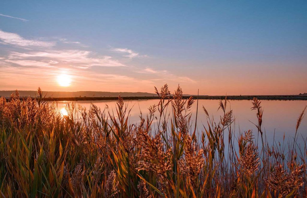 Salines de Sečovlje au coucher du soleil près de Piran
