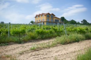 Vino Dessera - Route des vins de Thrace