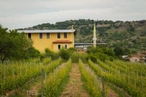 Route des vins turcs - Vino Dessera