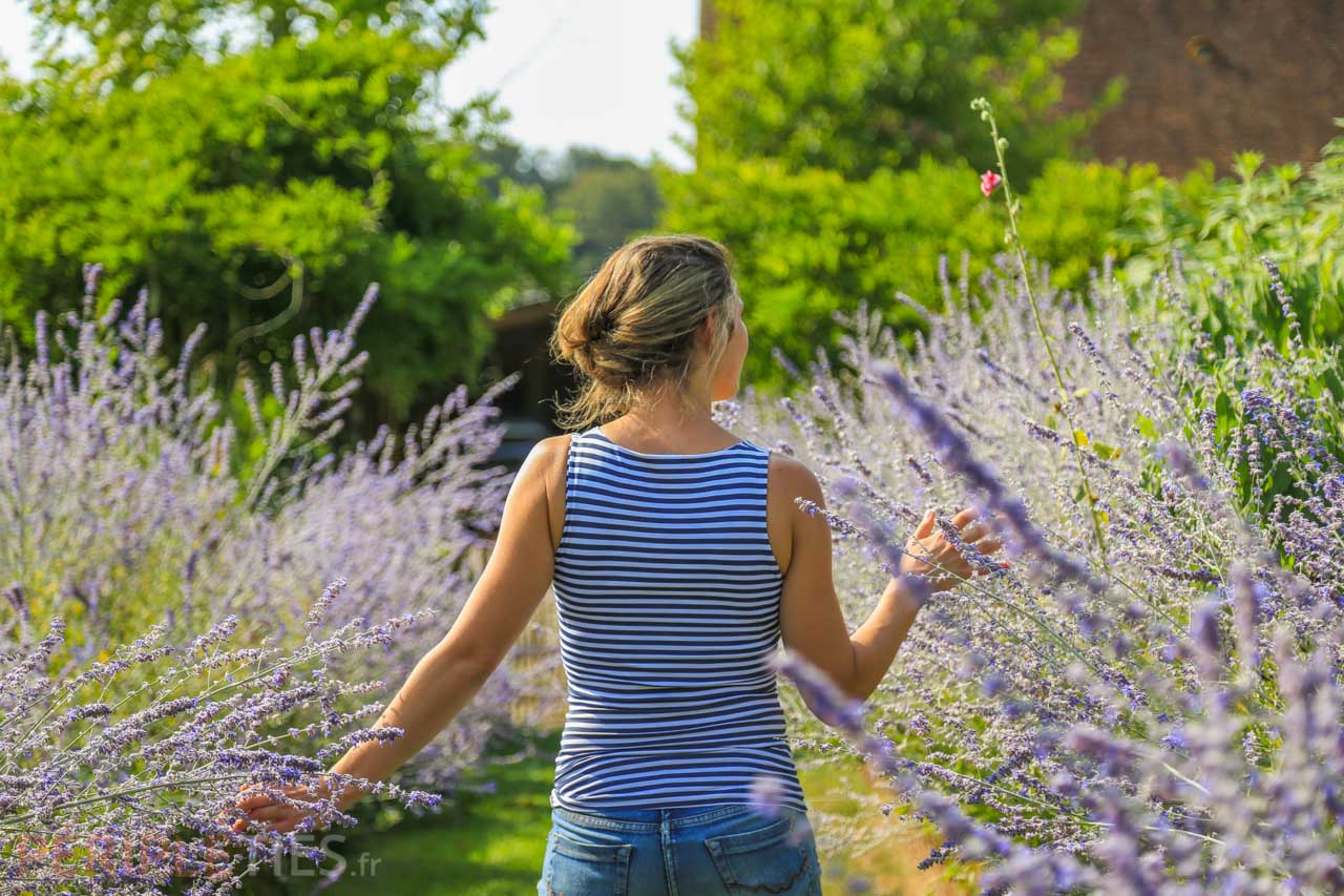 jardin lavande perche