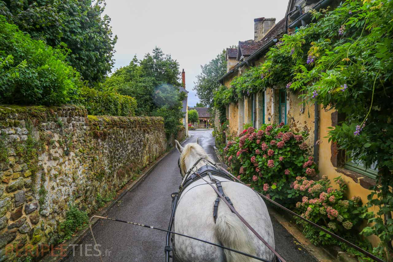 caleche perche percheron