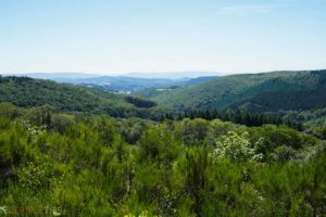 vue paysage morvan