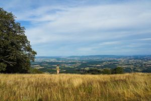 mont beuvray morvan