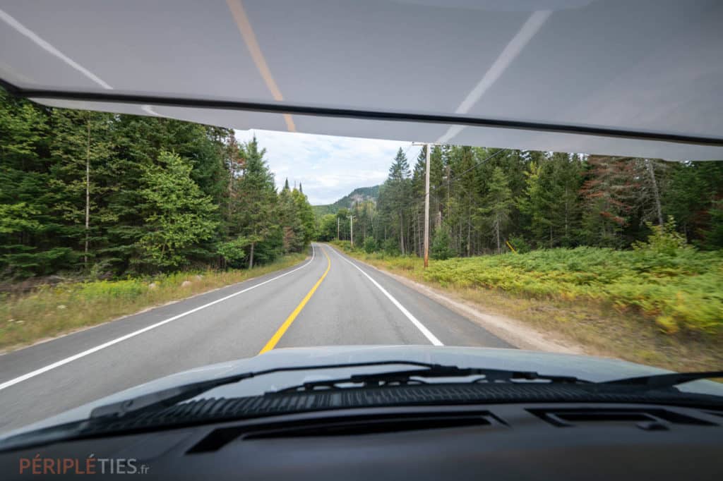 Route traversant une forêt lors d’un road trip en Gaspésie au Québec