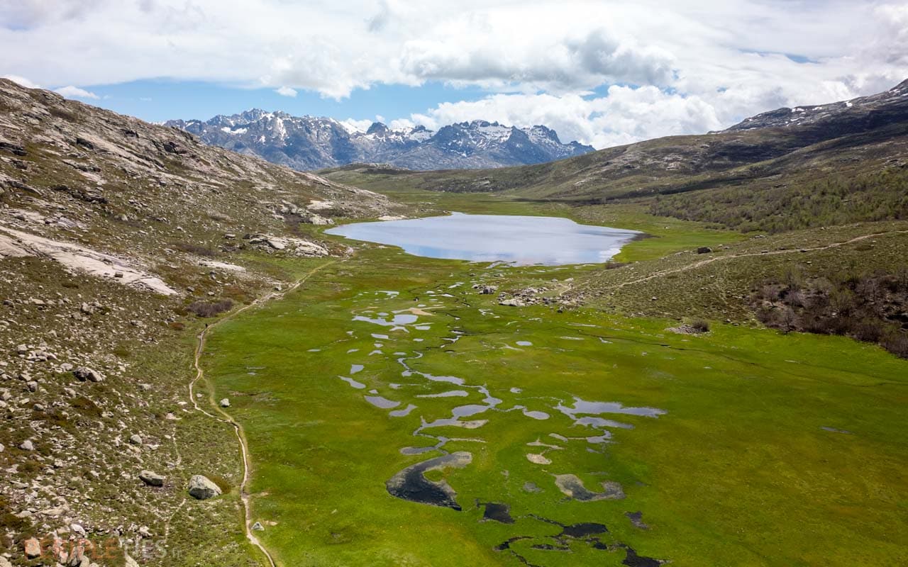 lac nino