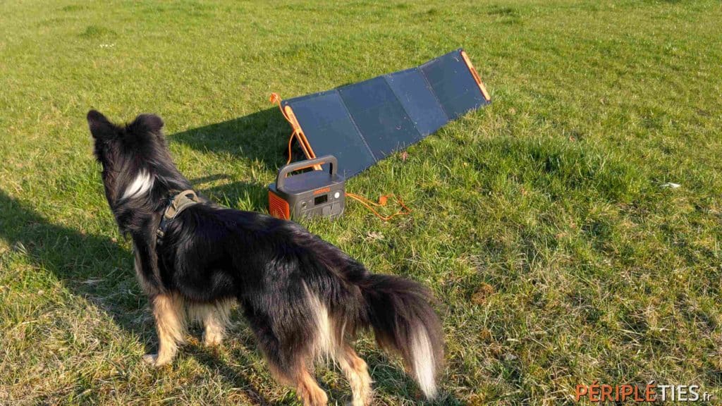 Ulysse, notre chien, à côté du panneau solaire Jackery