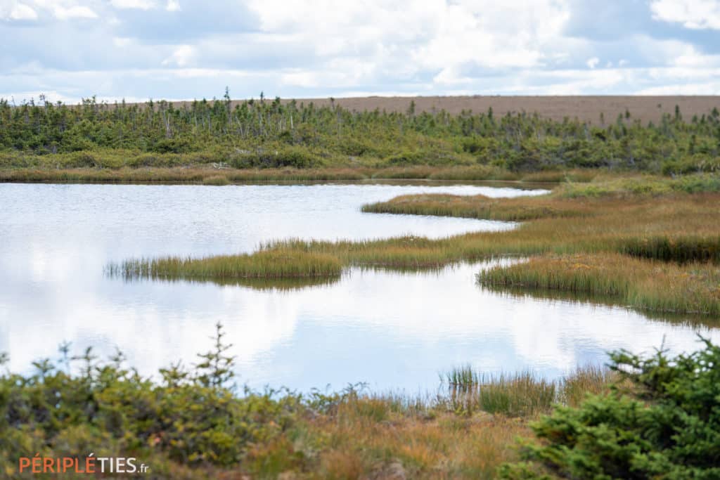 Paysage de toundra et étang au mont Albert dans le parc national de la Gaspésie