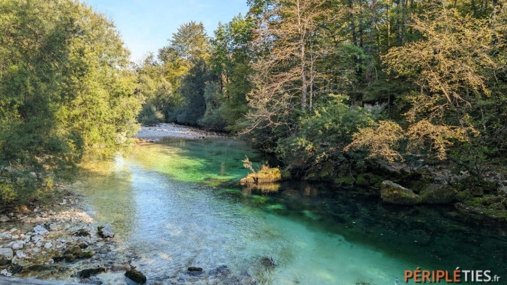 Rivière aux eaux limpides dans la forêt près de Bohinj