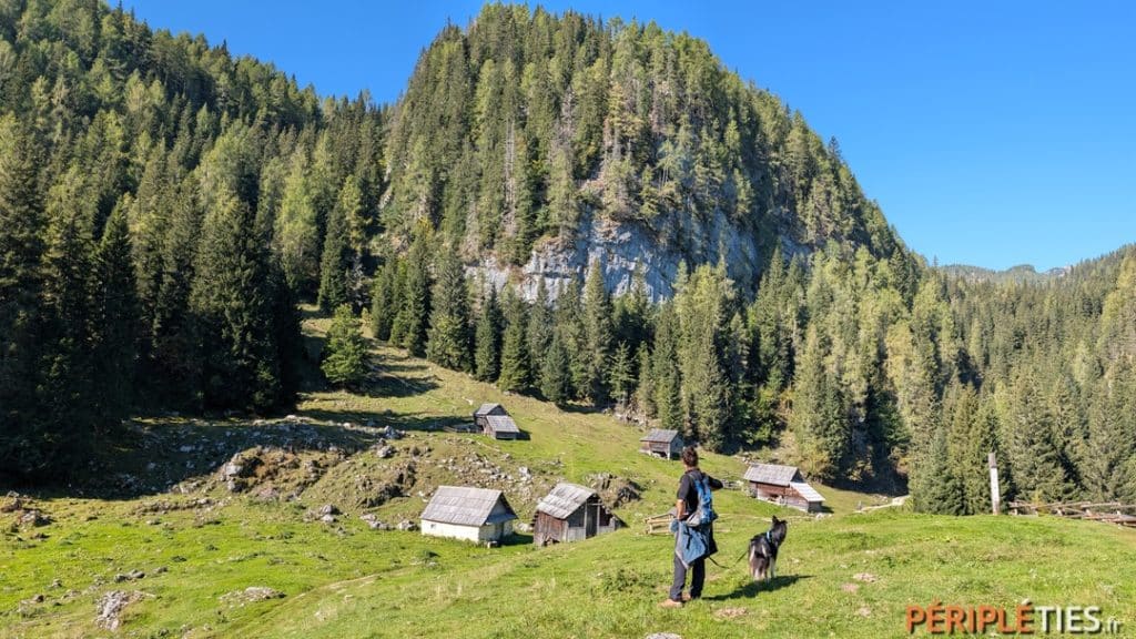 Chalets de bergers de l'alpage de Planina Blato au-dessus de Bohinj