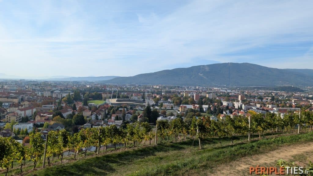 Maribor vue depuis les vignes qui surplombent la ville